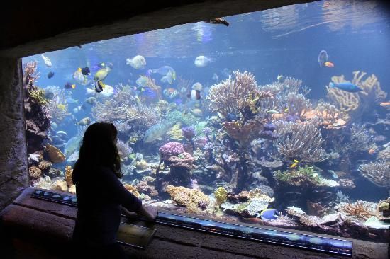 LONG ISLAND AQUARIUM